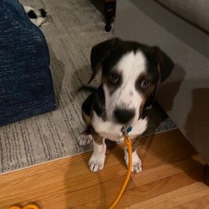 Meet your Posher, Nikki